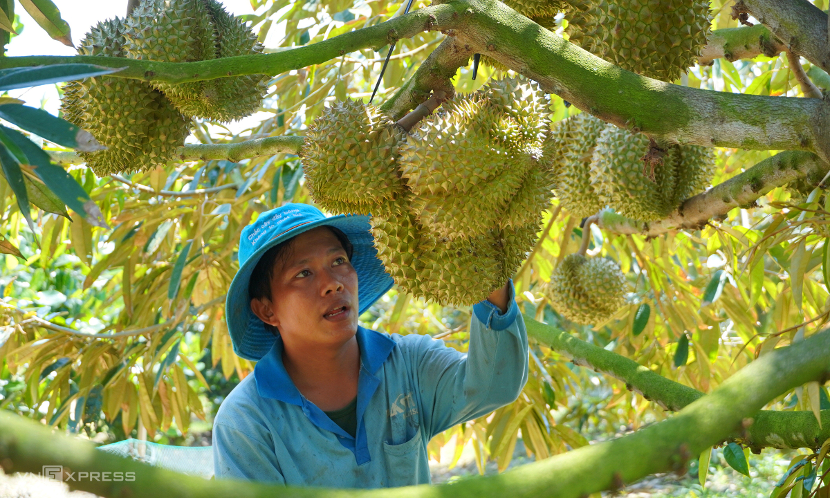 Trung Quốc siết quy định nhập khẩu nông sản