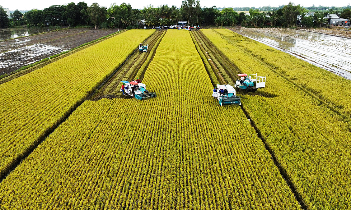 Phân tích xu hướng dự báo tăng trưởng GDP Việt Nam 2025