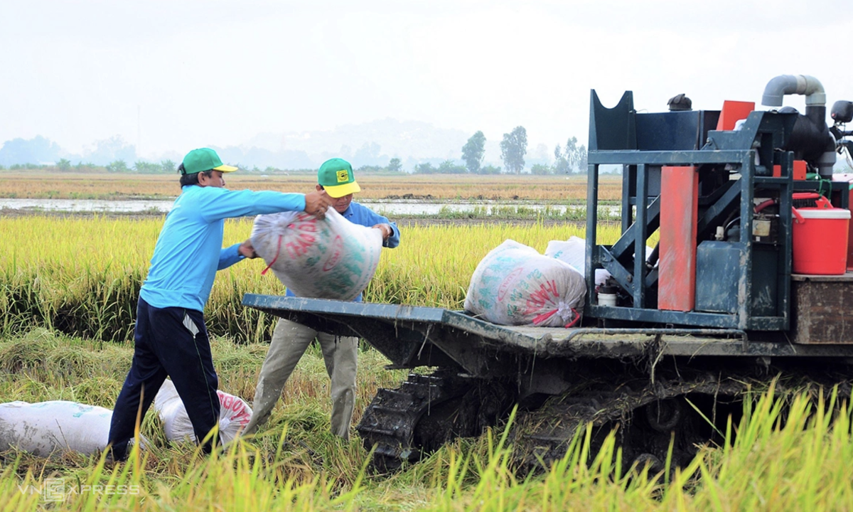 Trồng trọt sẽ giảm ít nhất 15 phát thải khí nhà kính đến 2035