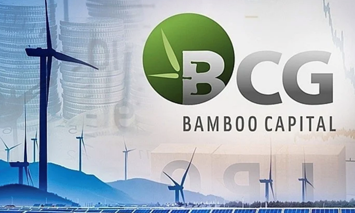 Bamboo Capital Cổ phiếu bị đình chỉ giao dịch là ngoài ý muốn