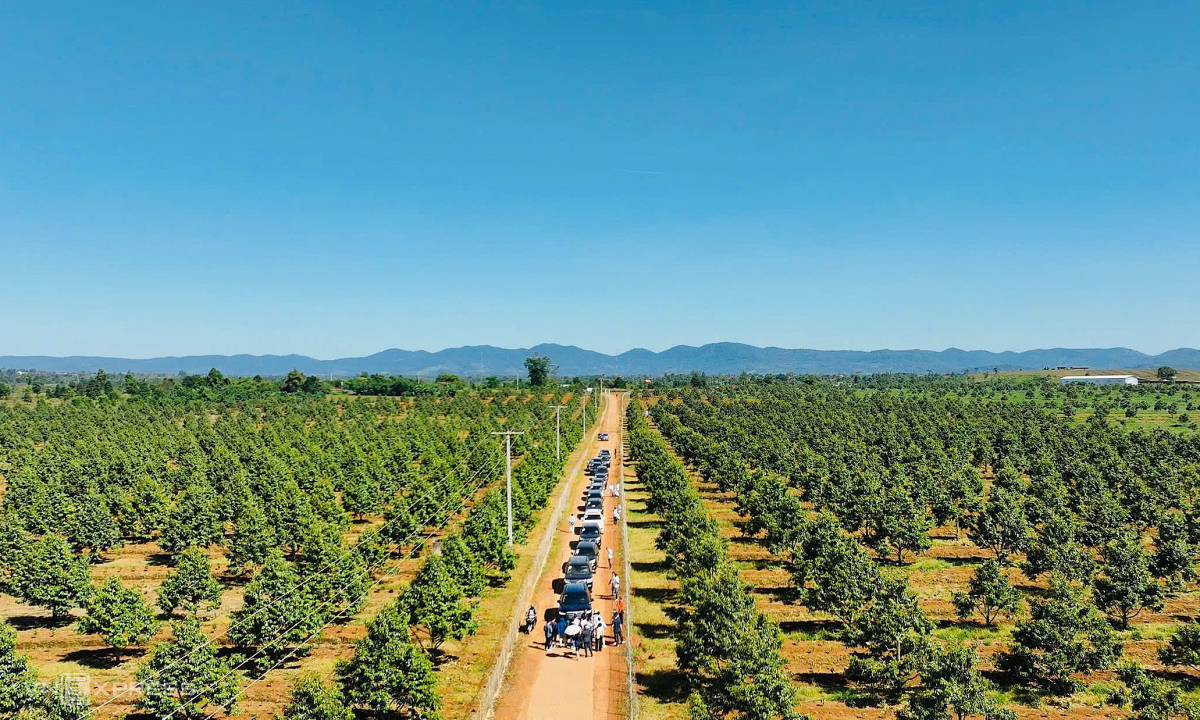 Hành trình 10 năm trả nợ của công ty bầu Đức