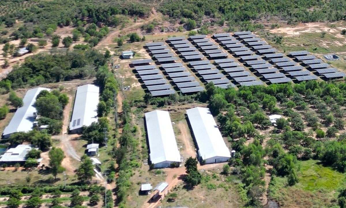 Việt Nam cần giải bài toán thực thi để trở thành thiên đường năng lượng xanh