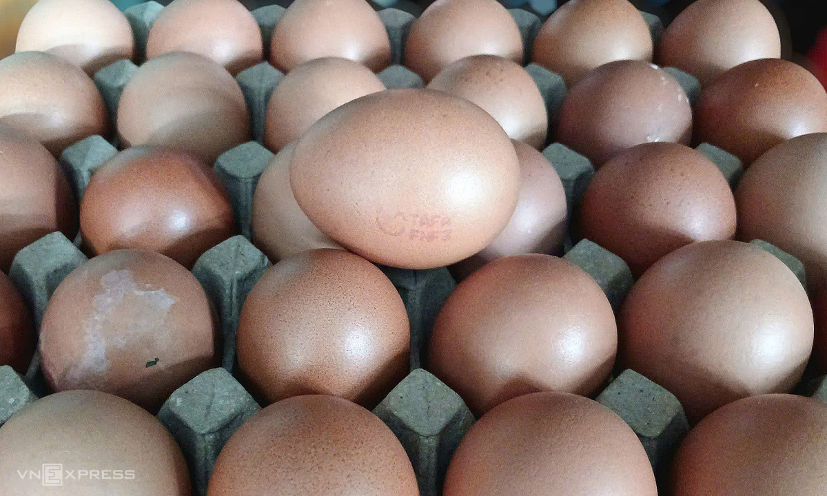 Giá trứng gà tăng mạnh