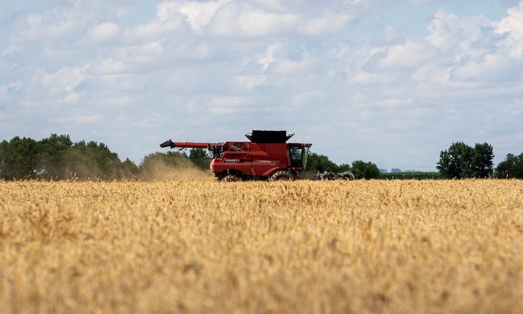 Trung Quốc mua lô lúa mỳ Mỹ đầu tiên sau một năm